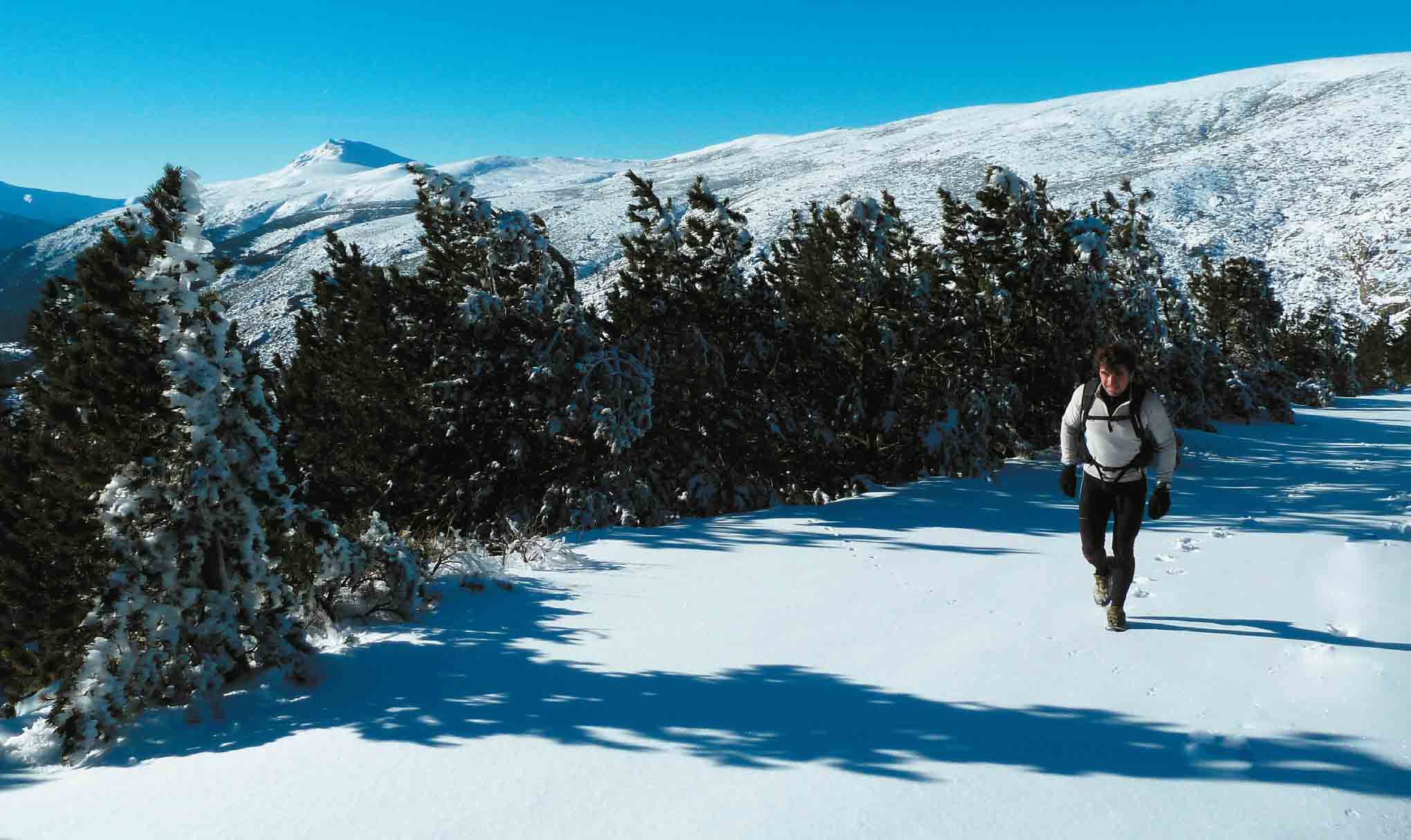 Trail invernal: Sierra y Puertos de Guadarrama