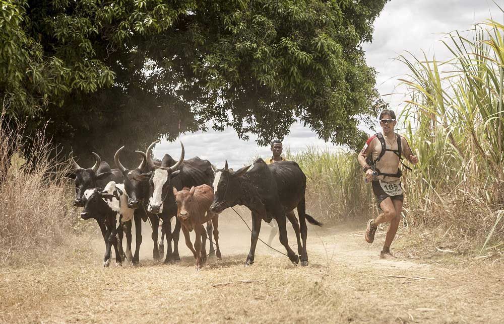 Ryan Sandes y Maki Izuchi Suban triunfan en RacingThePlanet: Madagascar 2014