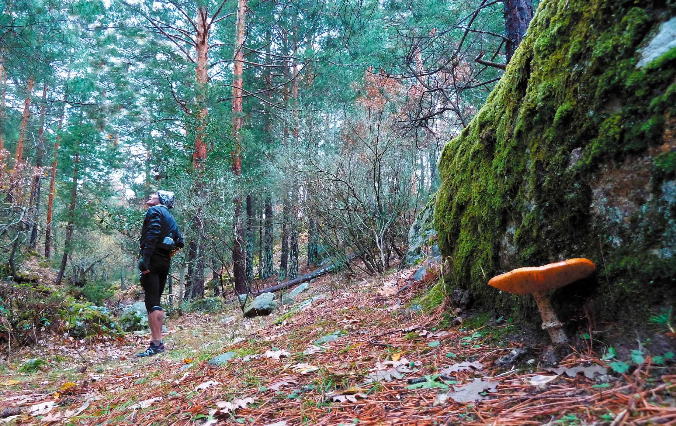Ruta trail: Nacimiento del río Lozoya