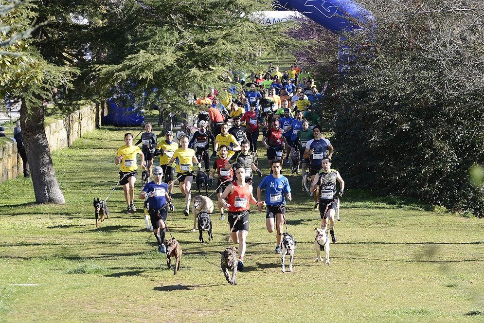 Canicross Demanda Xtreme