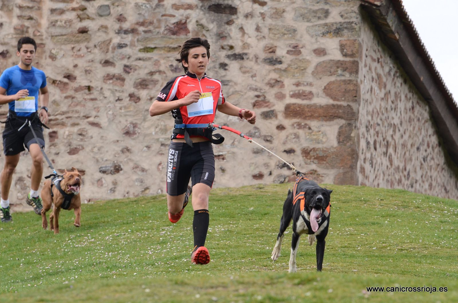 3 consejos para dar el salto al Canicross