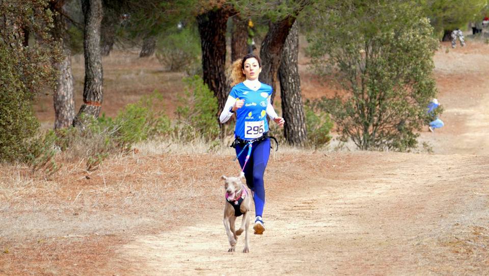 Éxito en los Campeonatos de España de Mushing