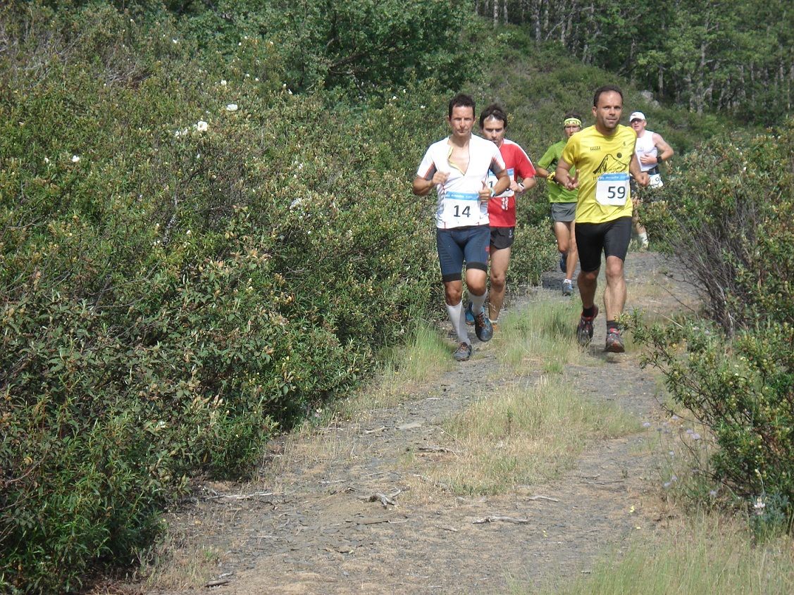 Hoy abren inscripciones del Medio Maratón del Ocejón