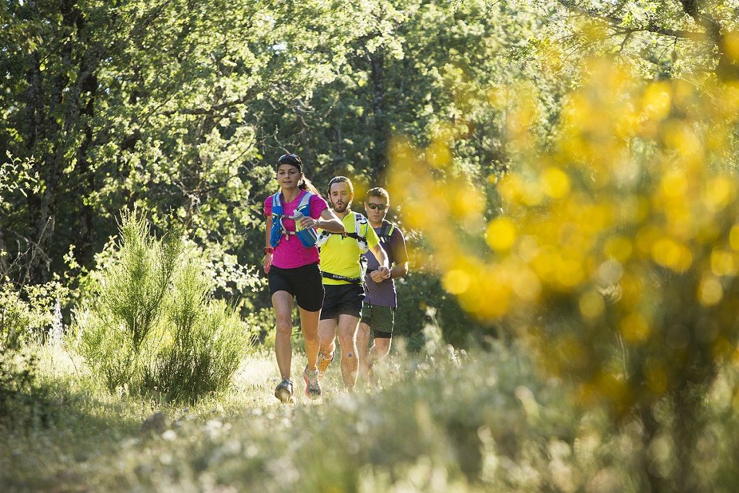 5 claves para un correcto Tapering