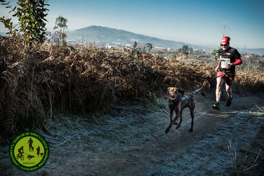 Campeonato de Asturias de Mushing