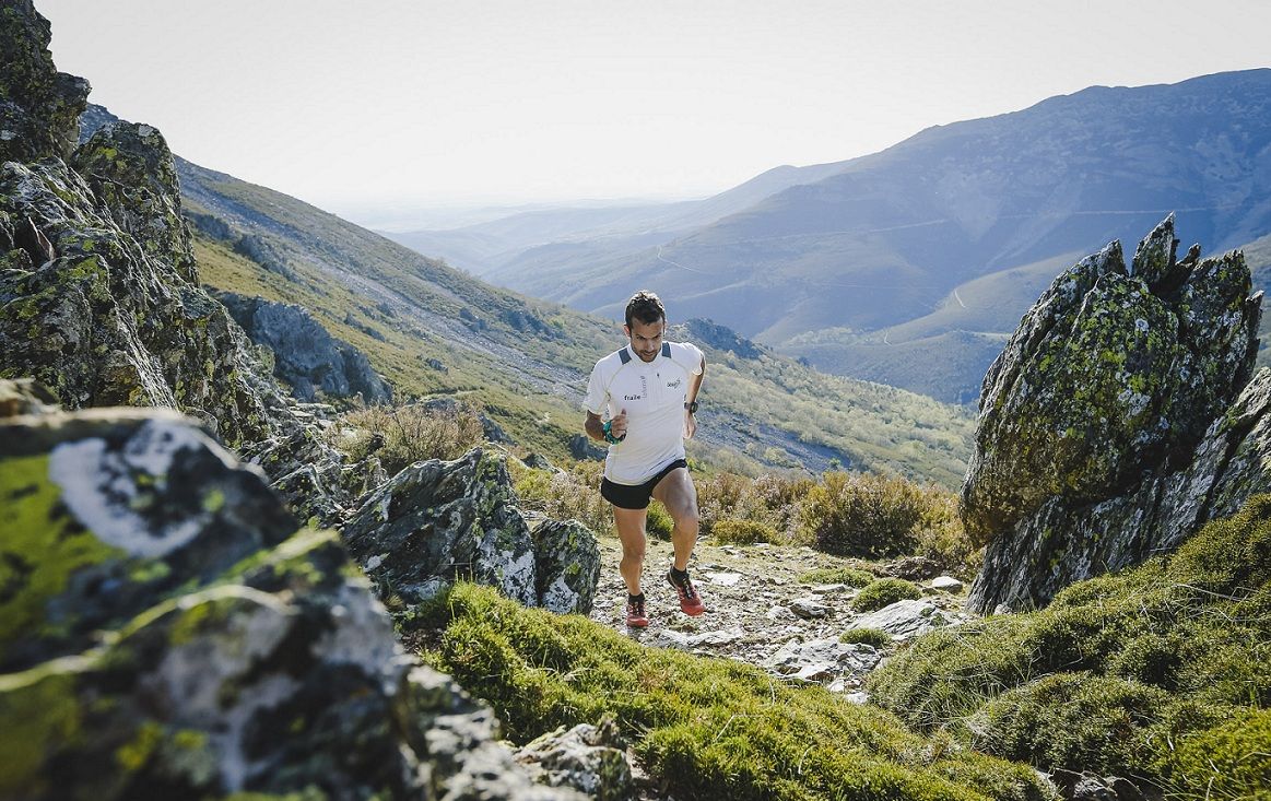 8 beneficios del tapering