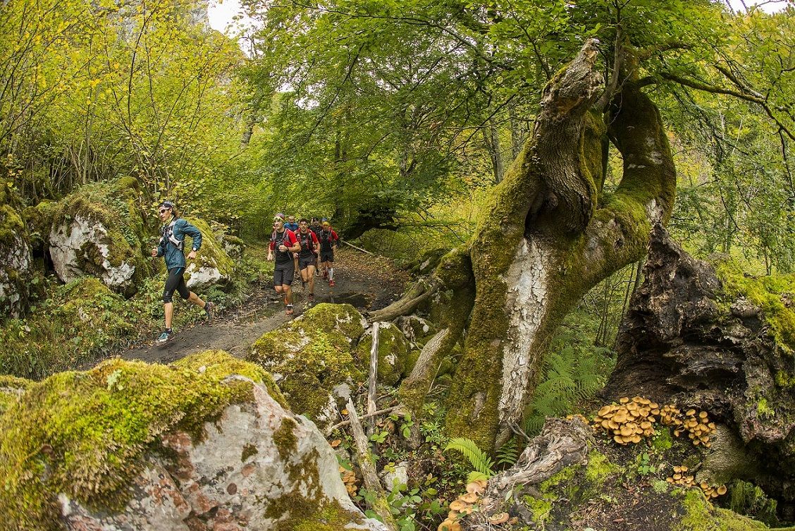 Ruta por el Parque Natural de Redes: soto de agues