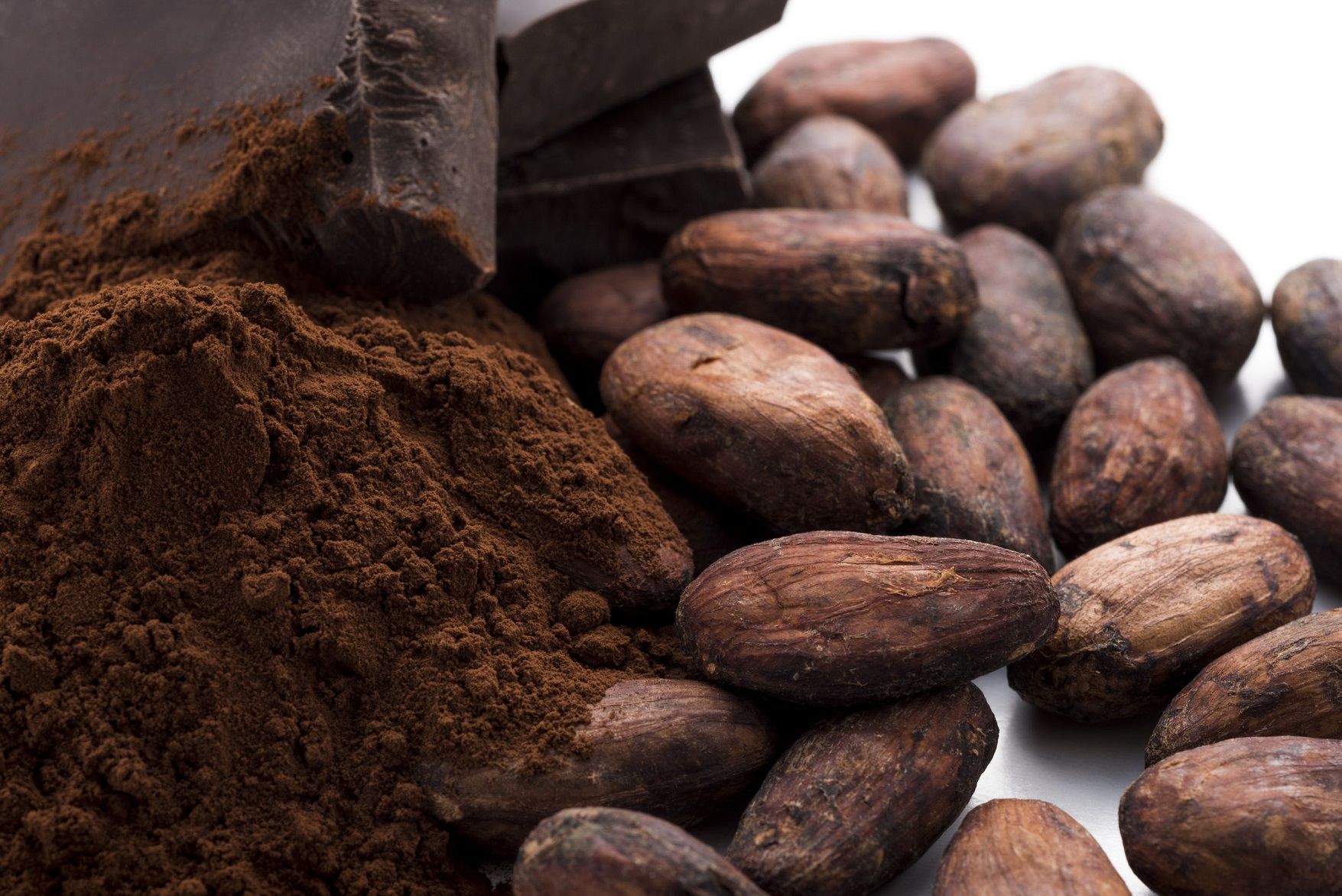 El cacao, un gran protector natural