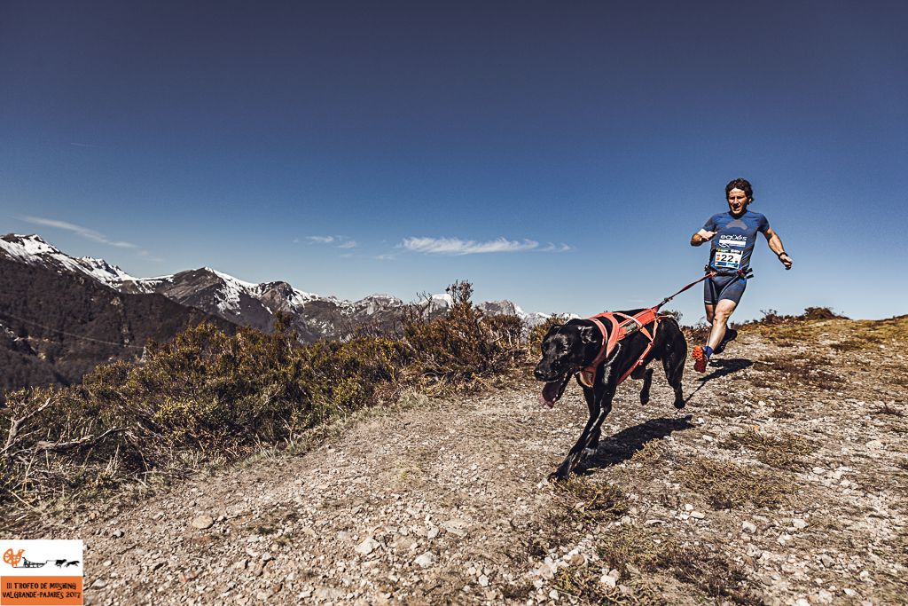III Trofeo de Mushing Valgrande-Pajares