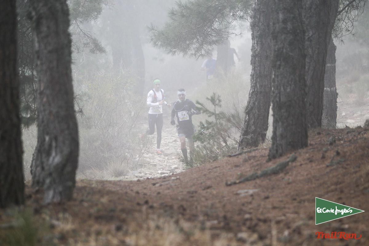 Races Trail Running-1