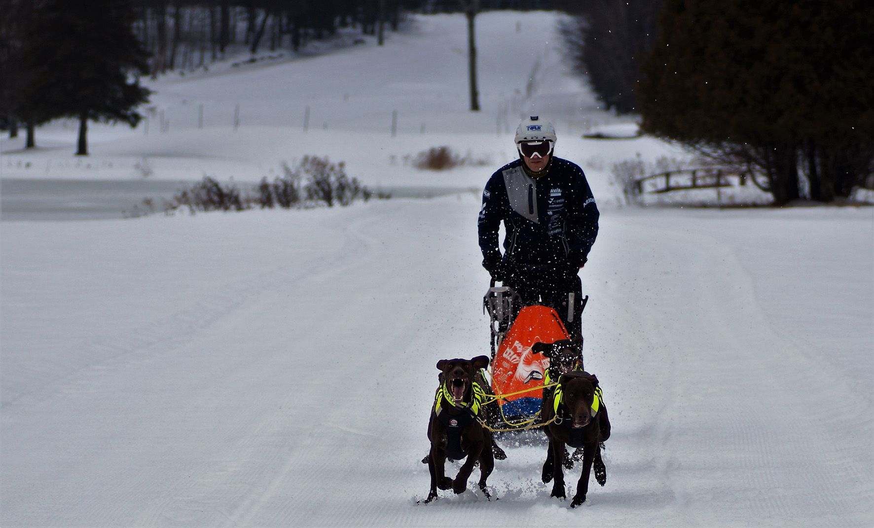 Javier Del Canto representa a España en el Campeonato del Mundo de Mushing