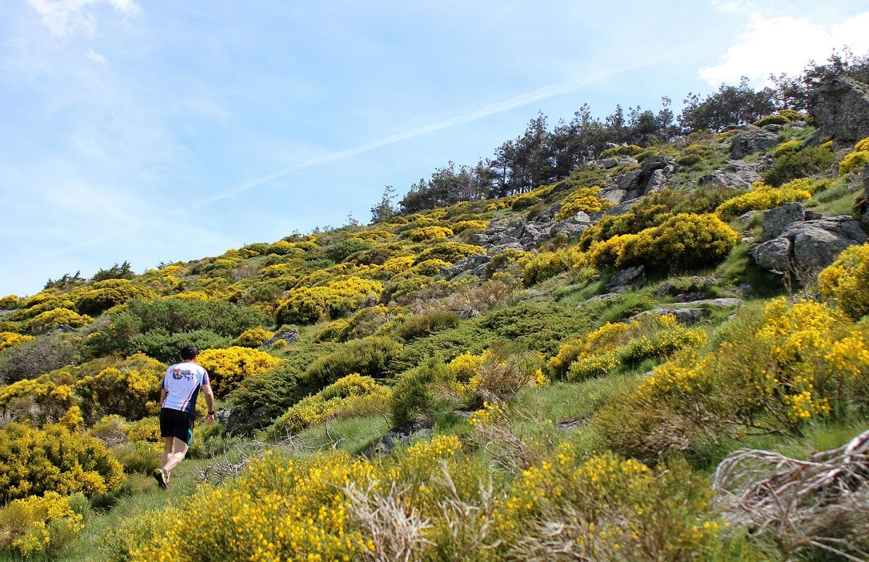 Titánica Segoviana Trail: una carrera y tres provincias