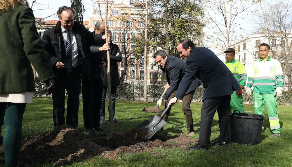Momento de la plantación de olmos en El Retiro. Momento de la plantación de olmos en El Retiro.