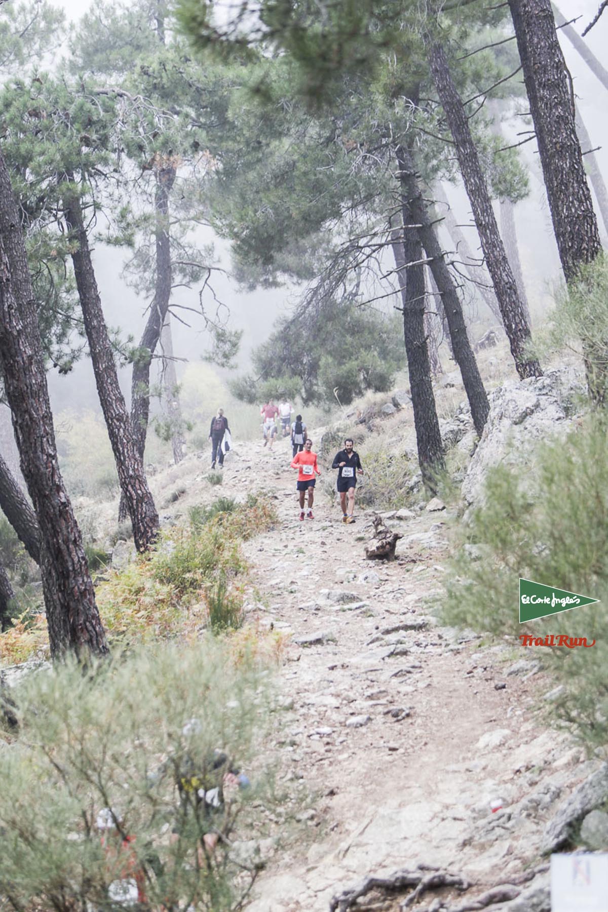 Races Trail Running-2