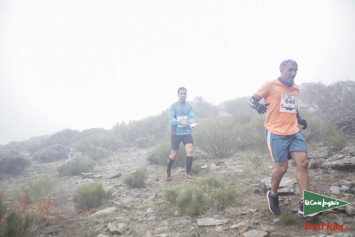 Races Trail Running-2