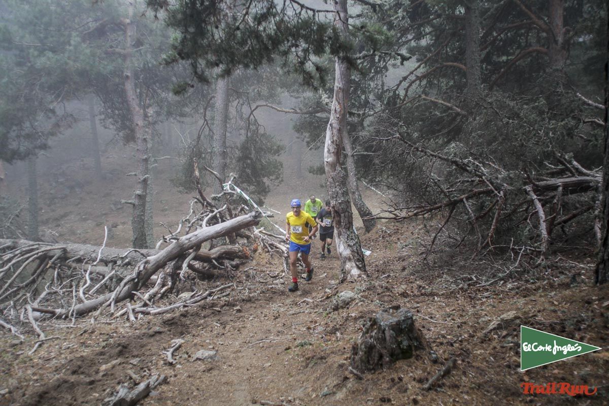 Races Trail Running-2