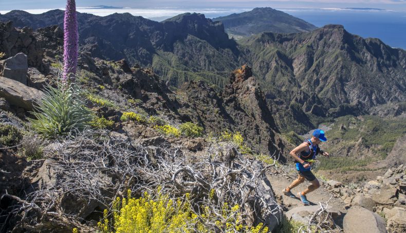 Cancelada Transvulcania 2020 Cancelada Transvulcania 2020