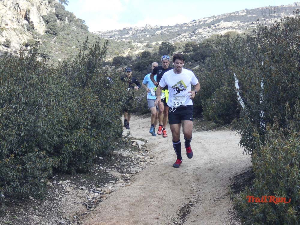 Races Trail Runing Hoyo de Manzanares 2016-6
