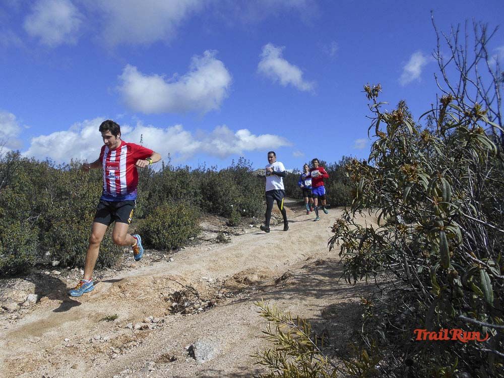 Races Trail Runing Hoyo de Manzanares 2016-6