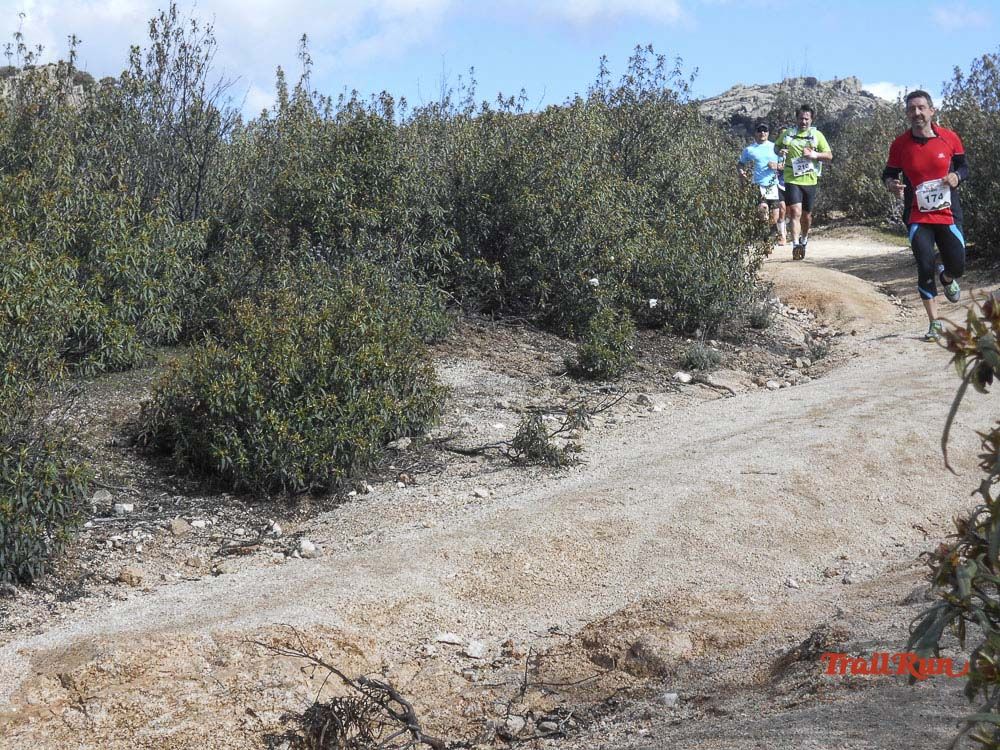 Races Trail Runing Hoyo de Manzanares 2016-6