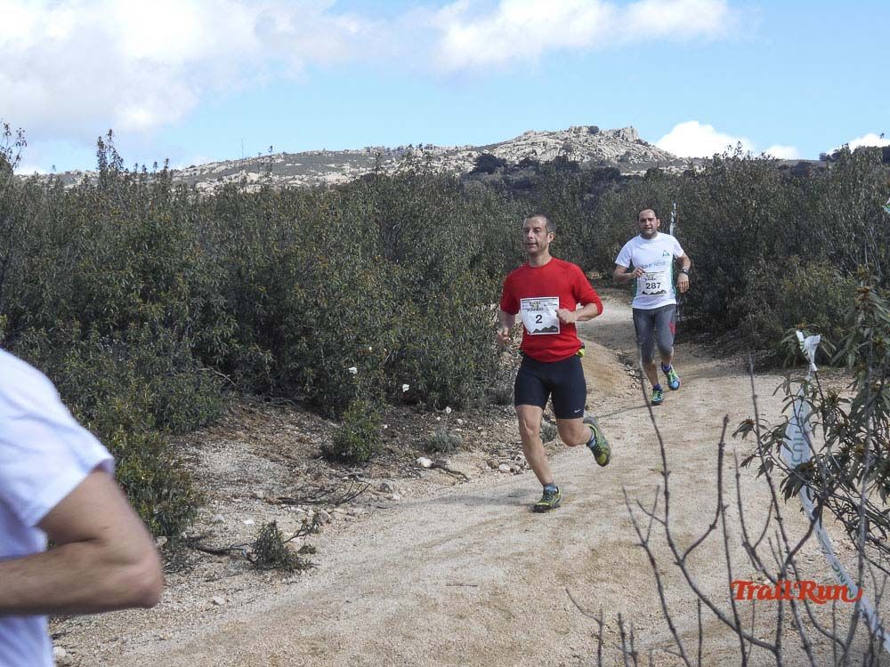 Races Trail Runing Hoyo de Manzanares 2016-6