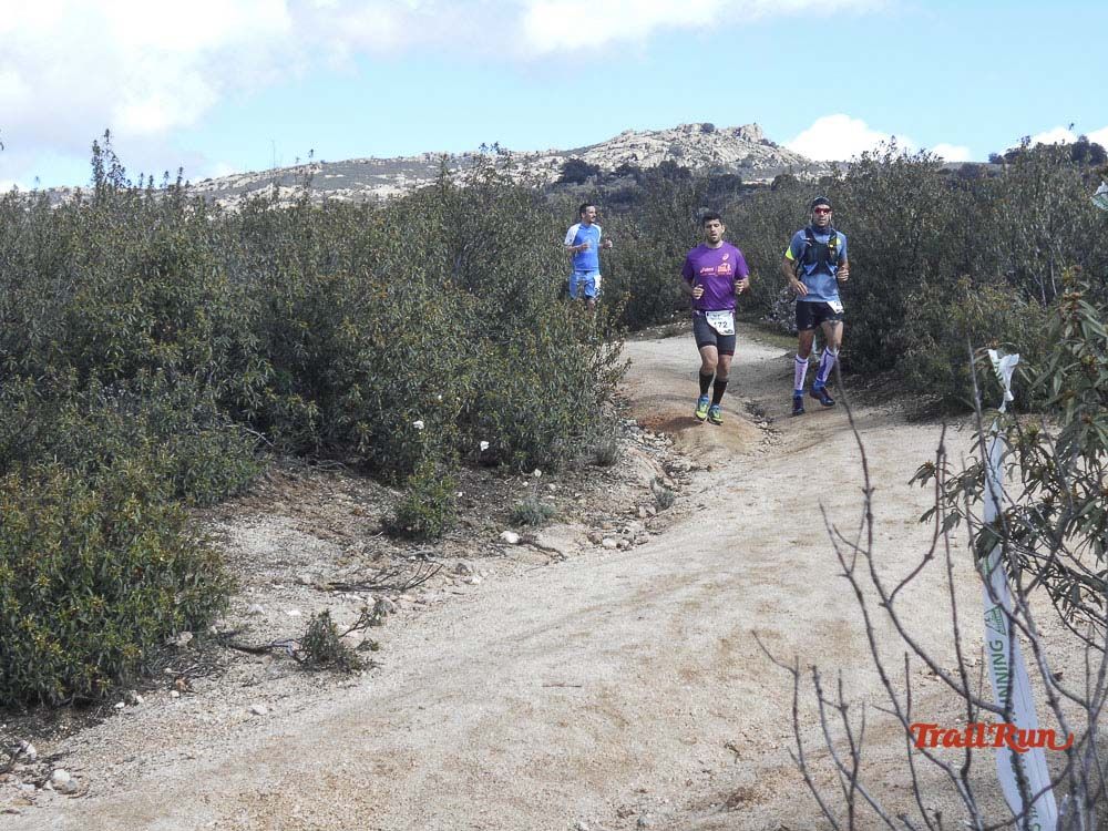 Races Trail Runing Hoyo de Manzanares 2016-6