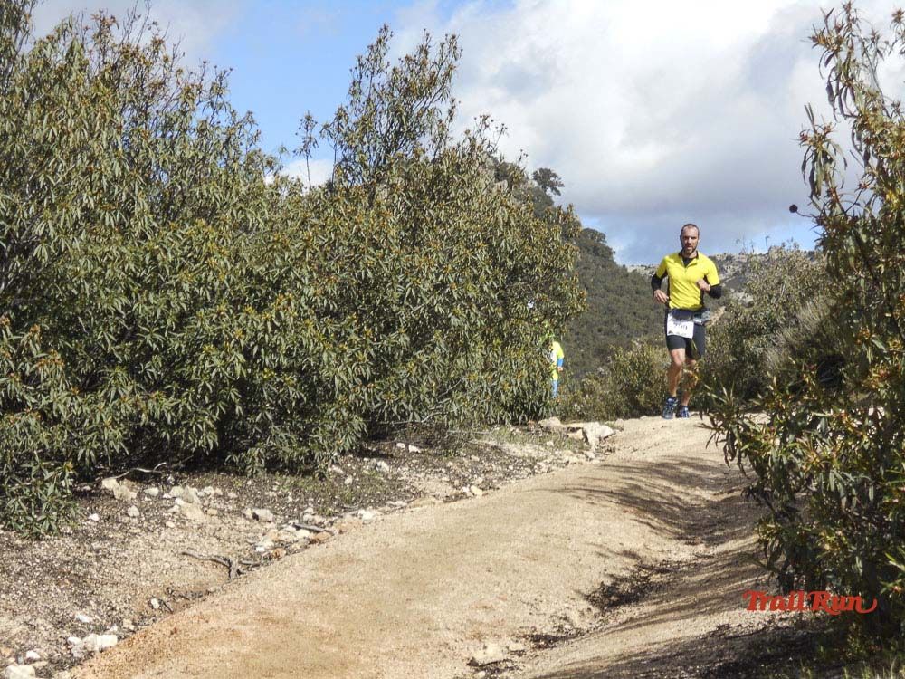 Races Trail Runing Hoyo de Manzanares 2016-6