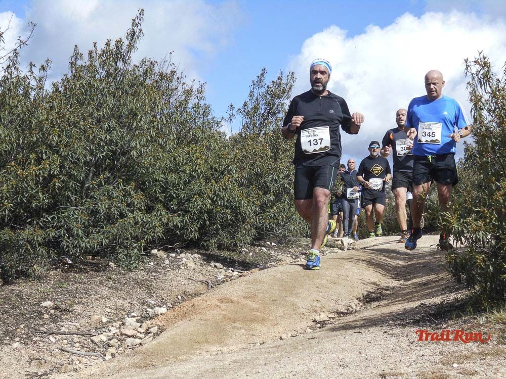 Races Trail Runing Hoyo de Manzanares 2016-6