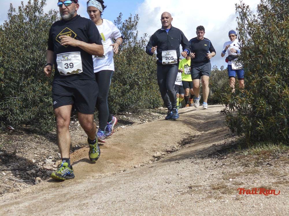 Races Trail Runing Hoyo de Manzanares 2016-6