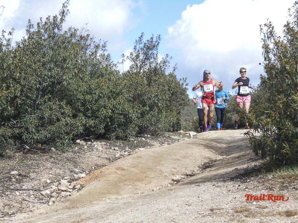 Races Trail Runing Hoyo de Manzanares 2016-6