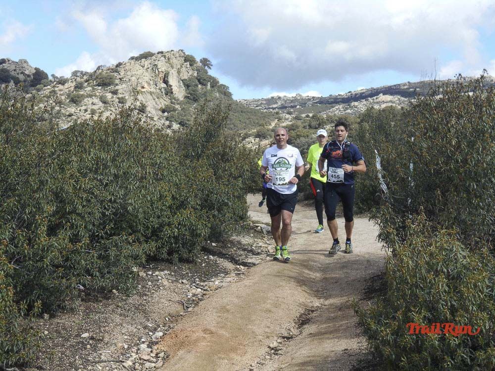 Races Trail Runing Hoyo de Manzanares 2016-6