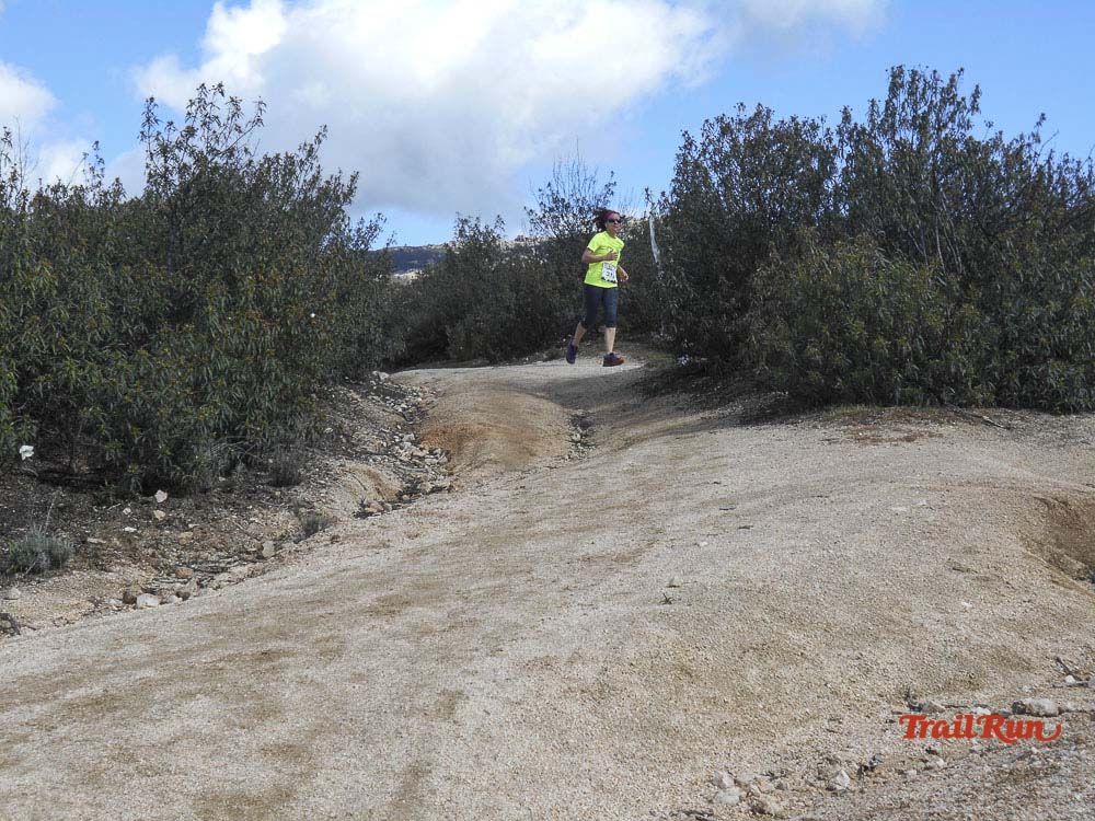 Races Trail Runing Hoyo de Manzanares 2016-6