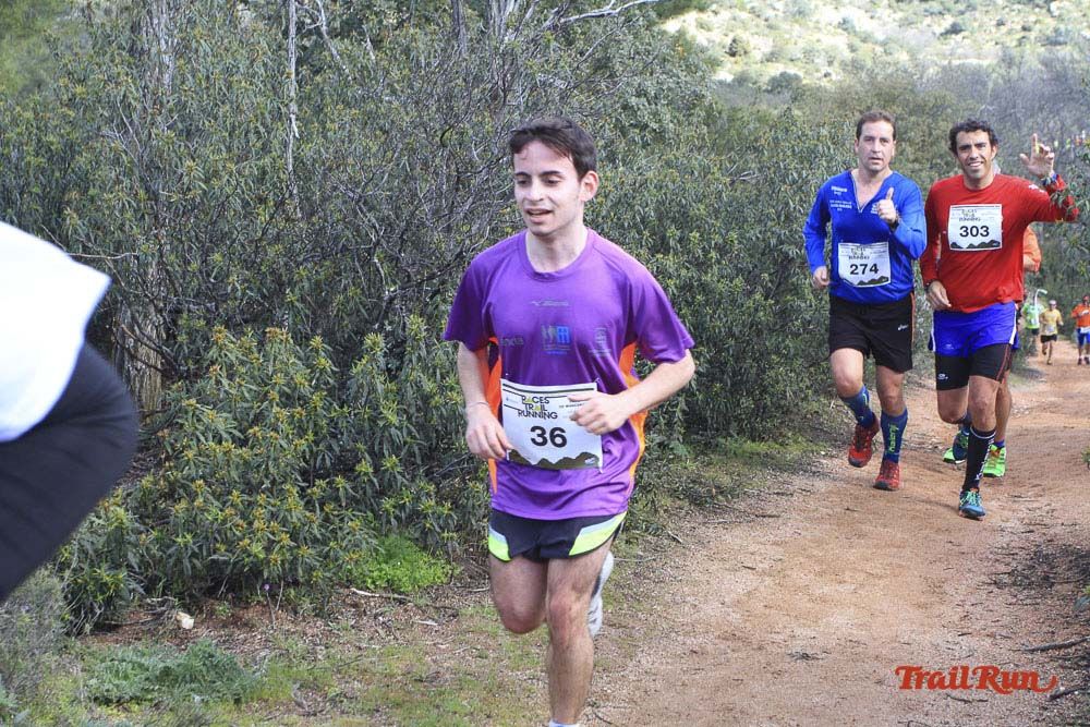Races Trail Runing Hoyo de Manzanares 2016-7