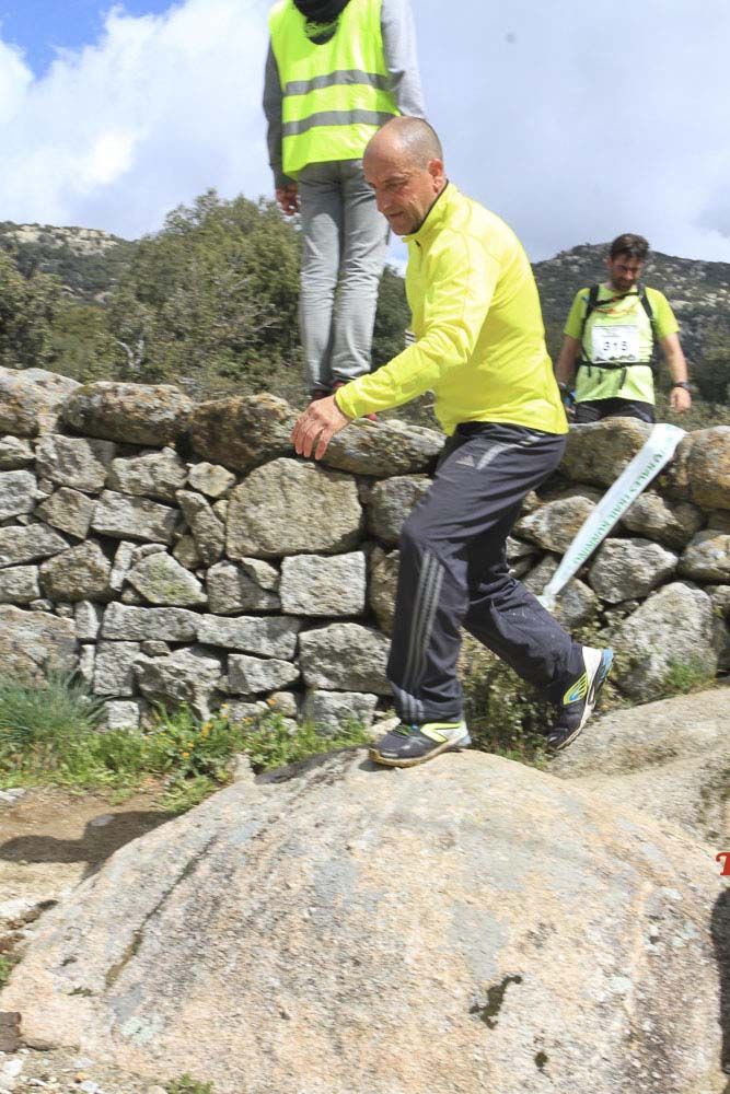 Races Trail Runing Hoyo de Manzanares 2016-7