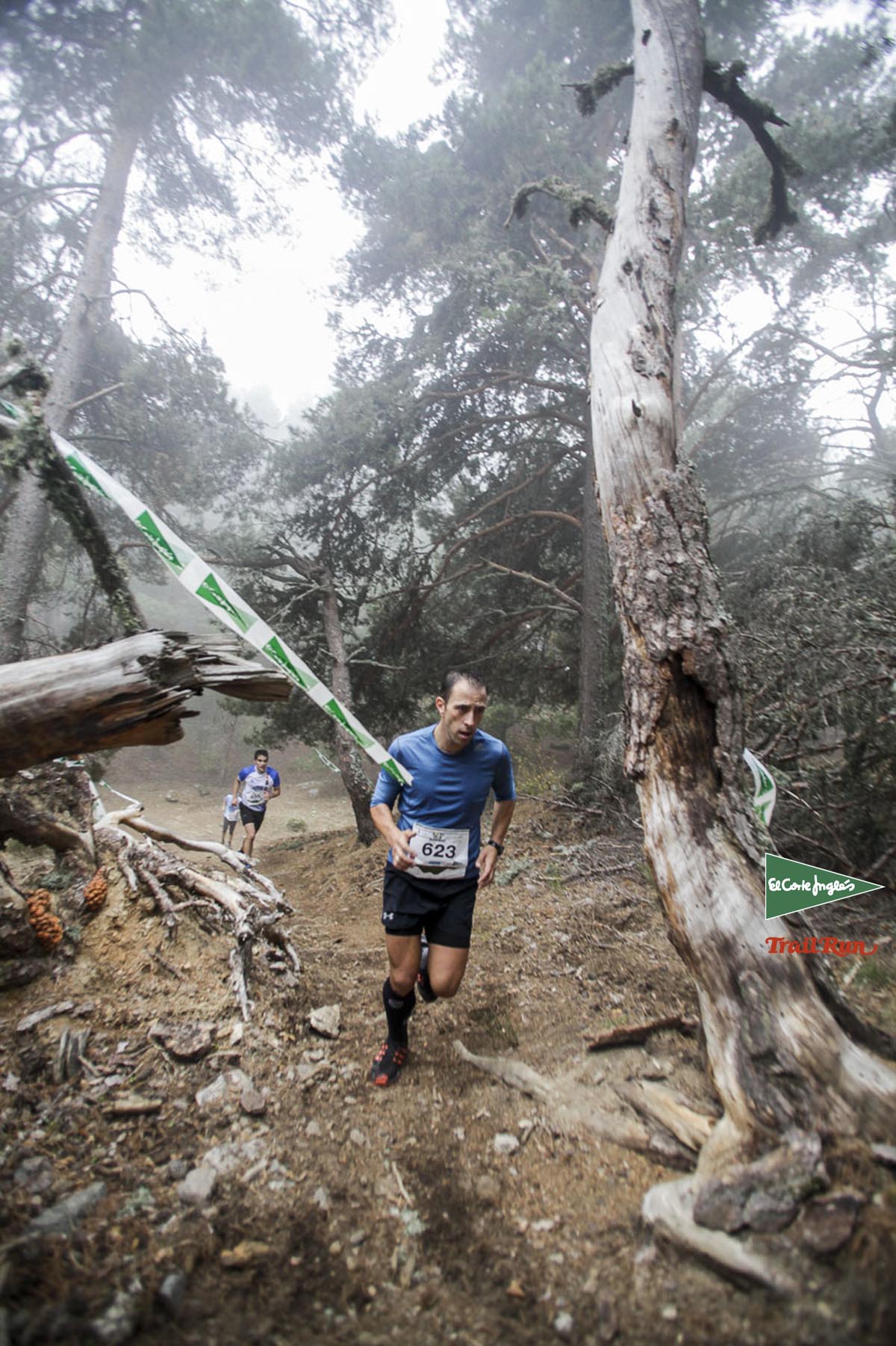 Races Trail Running-2