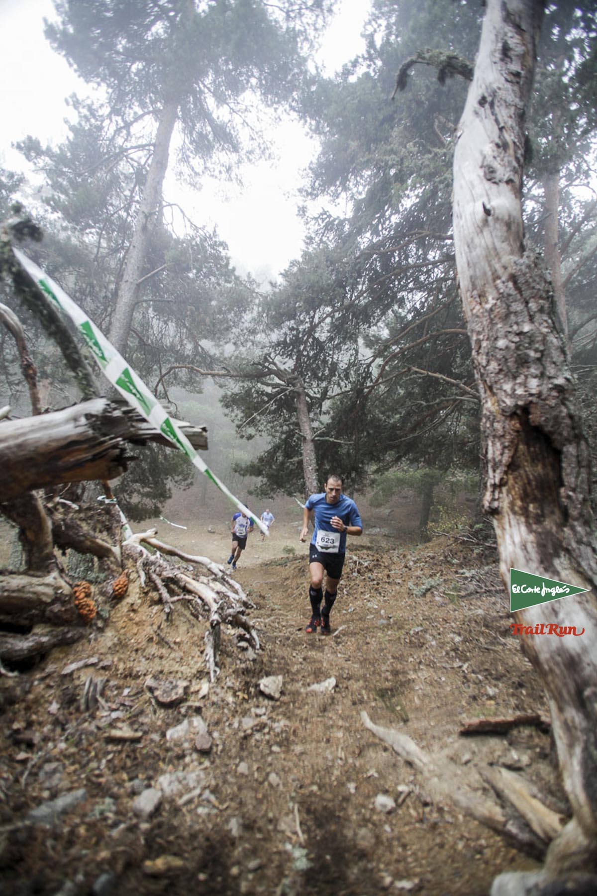 Races Trail Running-2