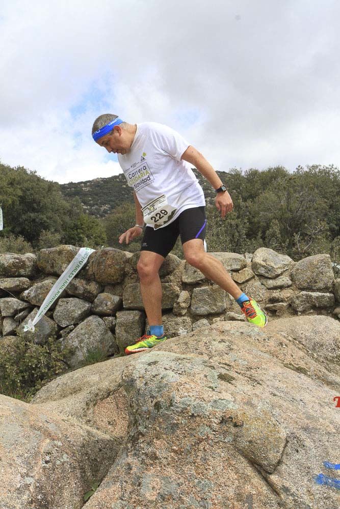 Races Trail Runing Hoyo de Manzanares 2016-7