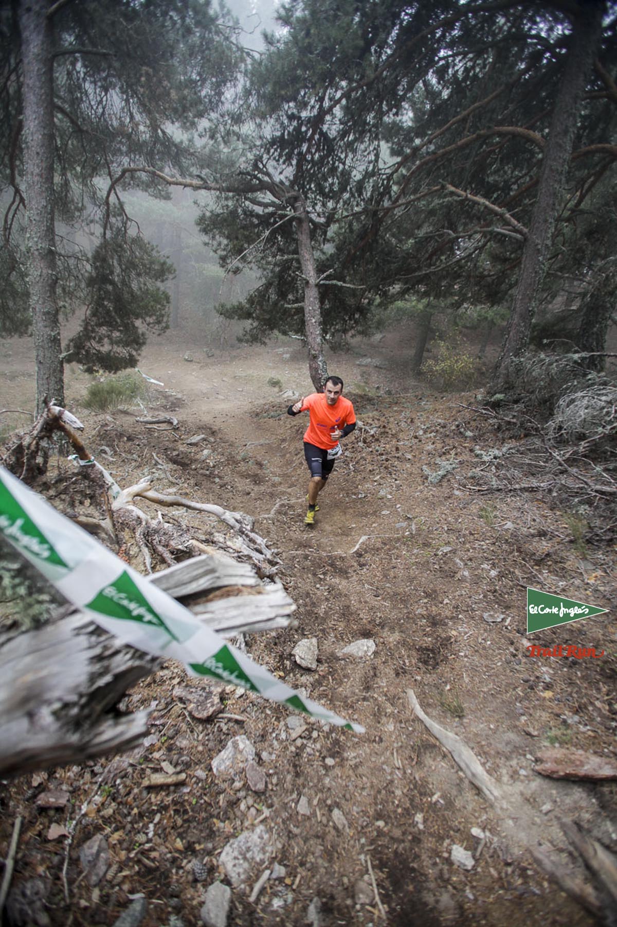 Races Trail Running-2