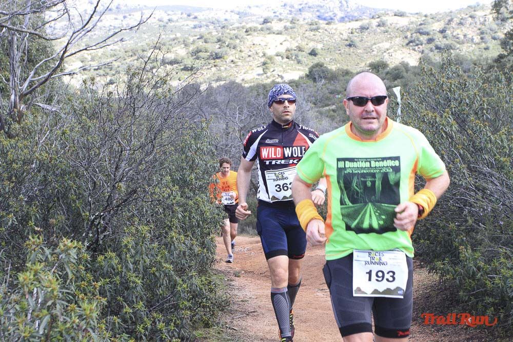 Races Trail Runing Hoyo de Manzanares 2016-7