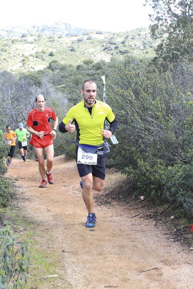 Races Trail Runing Hoyo de Manzanares 2016-7
