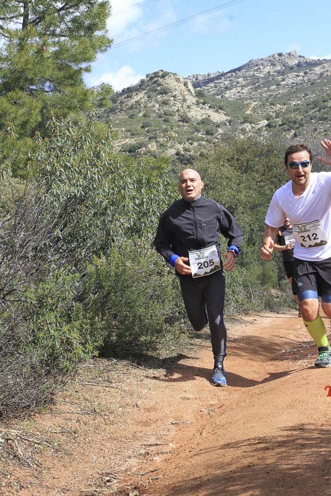 Races Trail Runing Hoyo de Manzanares 2016-7