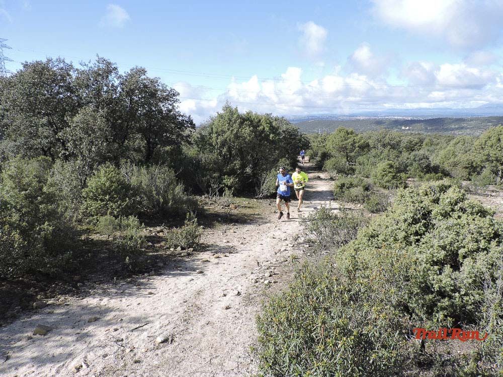 Races Trail Runing Hoyo de Manzanares 2016-8