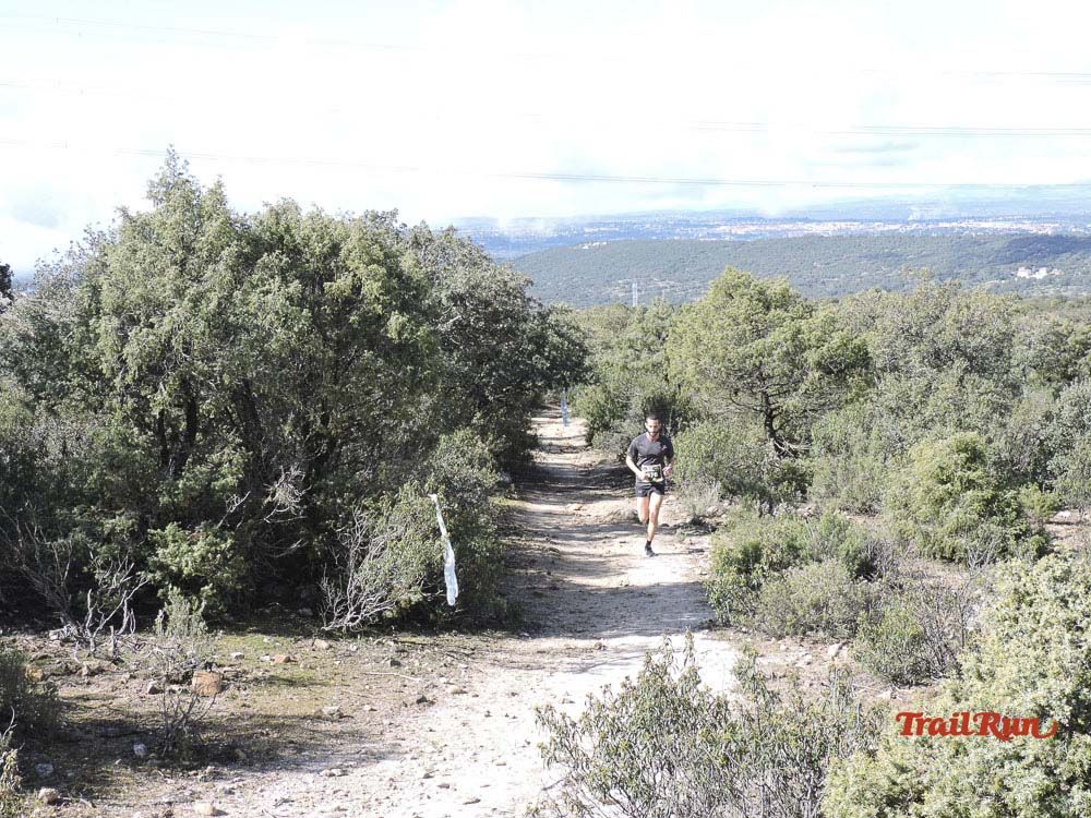 Races Trail Runing Hoyo de Manzanares 2016-8