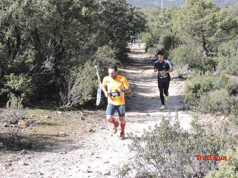 Races Trail Runing Hoyo de Manzanares 2016-8