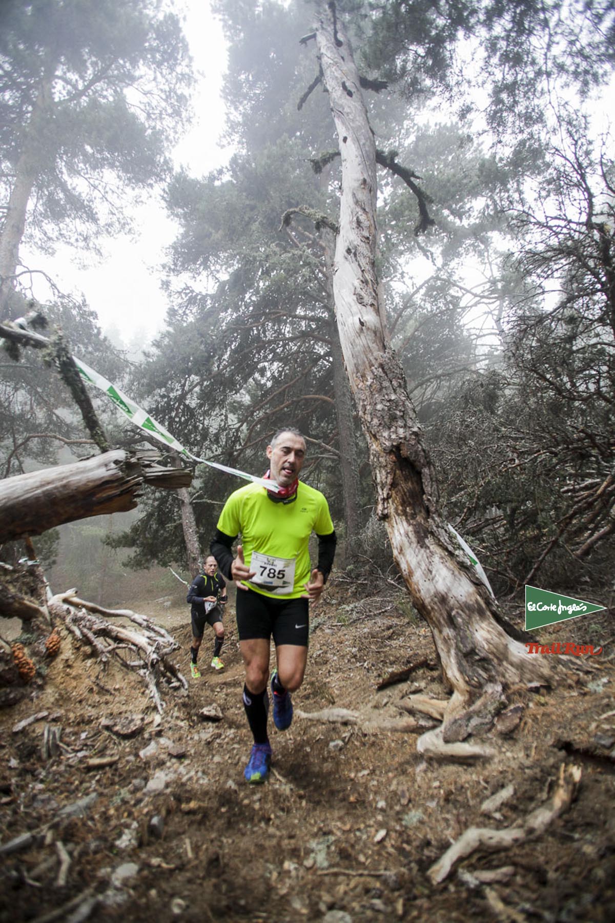 Races Trail Running-2