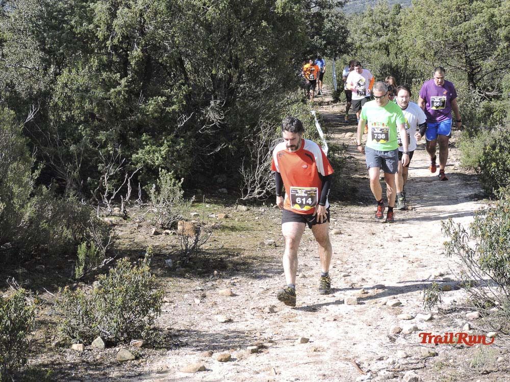 Races Trail Runing Hoyo de Manzanares 2016-8