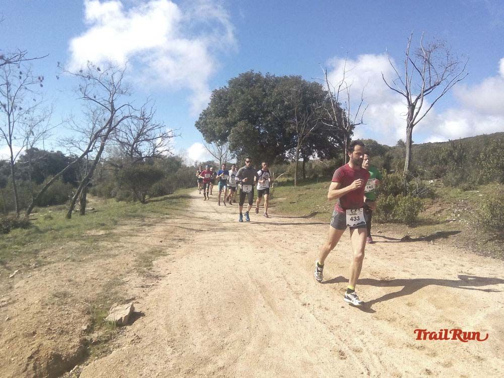 Races Trail Runing Hoyo de Manzanares 2016-9