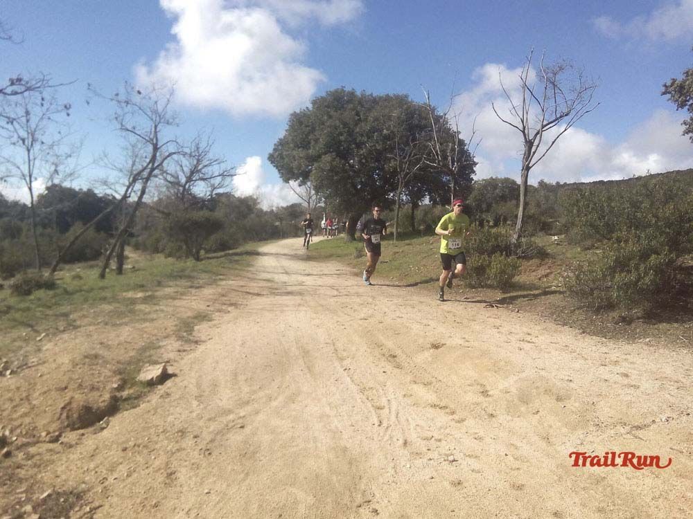 Races Trail Runing Hoyo de Manzanares 2016-9