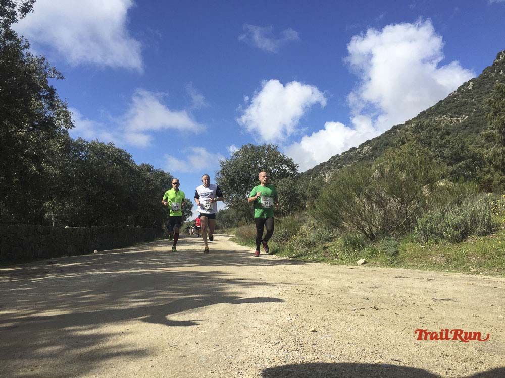 Races Trail Runing Hoyo de Manzanares 2016-12