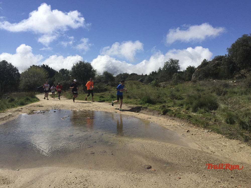 Races Trail Runing Hoyo de Manzanares 2016-12